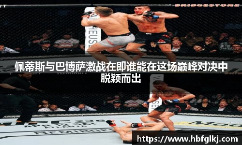 佩蒂斯与巴博萨激战在即谁能在这场巅峰对决中脱颖而出